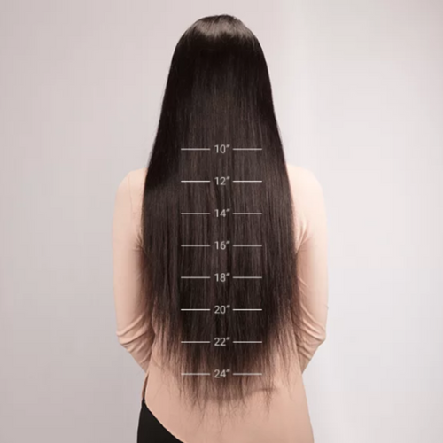 Black/Brown Ombre Human Wig